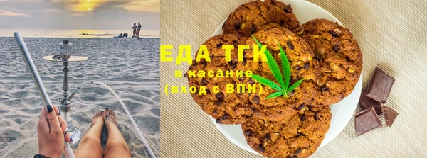 СК Алзамай