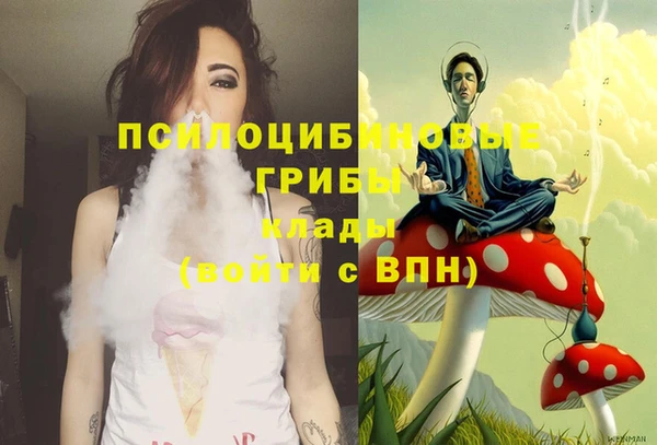 стафф Алексеевка