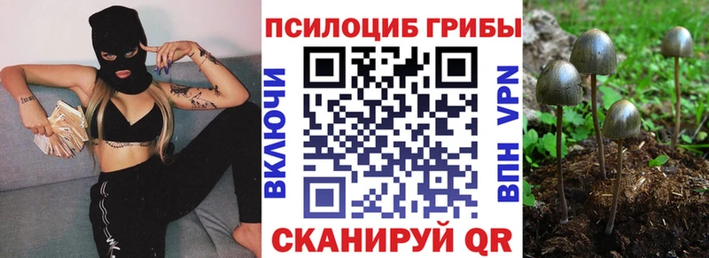 Псилоцибиновые грибы Cubensis  Рыбное 